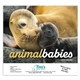 aerial view a group of animal babies appointment calendar - stapled, image 8 of 24