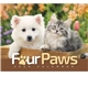 aerial view a group of four paws appointment calendar - stapled, image 11 of 24