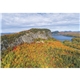 aerial view a group of our beautiful america(r) executive calendar, image 16 of 17