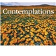 aerial view a group of contemplations appointment calendar - stapled, image 11 of 24