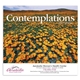 aerial view a group of contemplations appointment calendar - stapled, image 8 of 24