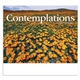 aerial view a group of contemplations appointment calendar - stapled, image 9 of 24