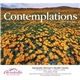 aerial view a group of contemplations appointment calendar - stapled, image 10 of 24