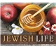 aerial view a group of jewish life - spiral calendar, image 11 of 24