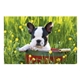 aerial view a group of puppies kittens pocket calendar, image 18 of 23