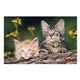 aerial view a group of puppies kittens pocket calendar, image 20 of 23