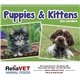 aerial view a group of puppies kittens pocket calendar, image 10 of 23