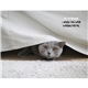 aerial view a group of pets with attitude - spiral - good value calendars(r), image 15 of 24