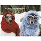 aerial view a group of pets with attitude - spiral - good value calendars(r), image 24 of 24