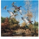 aerial view a group of david maass executive calendar, image 17 of 20