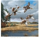 aerial view a group of david maass executive calendar, image 20 of 20