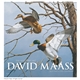 aerial view a group of david maass executive calendar, image 8 of 20