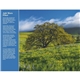 aerial view a group of healthy living - stapled calendar, image 14 of 19
