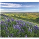 aerial view a group of landscapes of america - mini calendar, image 12 of 19