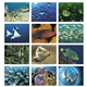 aerial view a group of ocean glory - stapled calendar, image 11 of 24