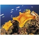 aerial view a group of ocean glory - stapled calendar, image 12 of 19