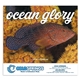aerial view a group of ocean glory - stapled calendar, image 3 of 24