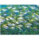 aerial view a group of ocean glory - stapled calendar, image 22 of 24