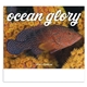 aerial view a group of ocean glory - stapled calendar, image 4 of 24