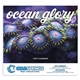 aerial view a group of ocean glory - stapled calendar, image 4 of 19