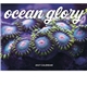 aerial view a group of ocean glory - stapled calendar, image 5 of 19