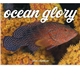 aerial view a group of ocean glory - stapled calendar, image 6 of 24