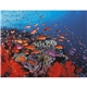 aerial view a group of ocean glory - stapled calendar, image 8 of 19