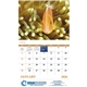aerial view a group of ocean glory - stapled calendar, image 9 of 24