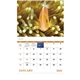 aerial view a group of ocean glory - stapled calendar, image 10 of 24