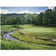 aerial view a group of fairways greens - stapled calendar, image 16 of 24