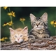 aerial view a group of puppies kittens - spiral calendar, image 14 of 19