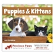 aerial view a group of puppies kittens - spiral calendar, image 3 of 24
