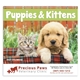 aerial view a group of puppies kittens - spiral calendar, image 4 of 19