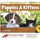aerial view a group of puppies kittens - spiral calendar, image 5 of 24