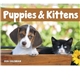 aerial view a group of puppies kittens - spiral calendar, image 6 of 24