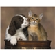aerial view a group of puppies kittens - spiral calendar, image 8 of 19