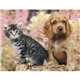aerial view a group of puppies kittens - spiral calendar, image 10 of 19