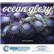 aerial view a group of ocean glory - spiral calendar, image 5 of 24