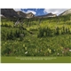 aerial view a group of eternal word without funeral planner - spiral calendar, image 19 of 24