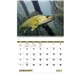 aerial view a group of fishing - spiral calendar, image 3 of 43
