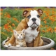 aerial view a group of puppies kittens - stapled calendar, image 20 of 24
