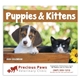 aerial view a group of puppies kittens - stapled calendar, image 3 of 24