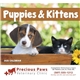 aerial view a group of puppies kittens - stapled calendar, image 5 of 24