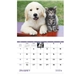 aerial view a group of puppies kittens - stapled calendar, image 10 of 24