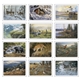 aerial view a group of wildlife art pocket, image 11 of 23