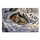 aerial view a group of wildlife art pocket, image 14 of 23