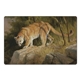 aerial view a group of wildlife art pocket, image 17 of 23