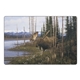 aerial view a group of wildlife art pocket, image 20 of 23