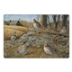 aerial view a group of wildlife art pocket, image 22 of 23