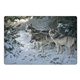 aerial view a group of wildlife art pocket, image 23 of 23